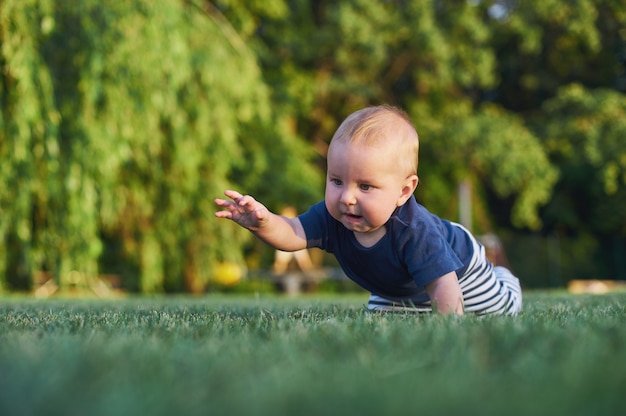 Baby boy is crawling on a green lawn in morning sunlight.