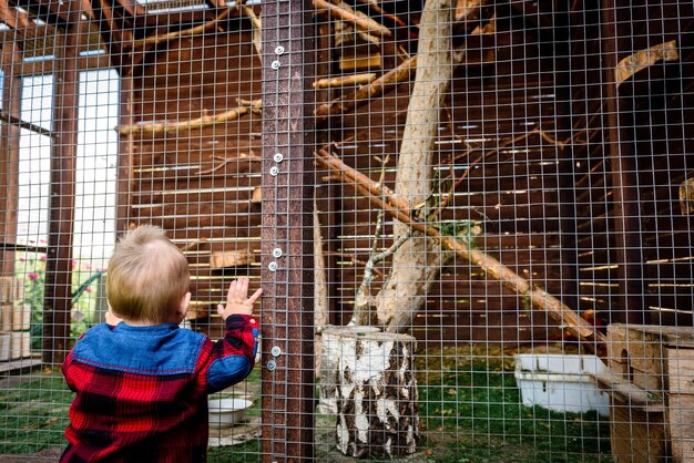 Baby boy looking animal in cage