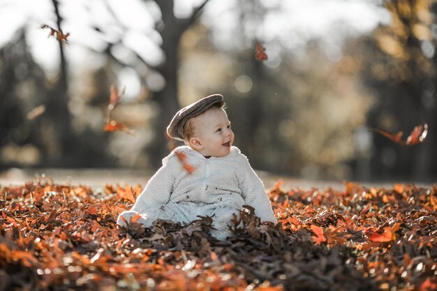 写真 秋の公園で遊ぶ男の子黄色い葉を投げる子供オークとメープル葉の赤ちゃん秋の葉っぱ