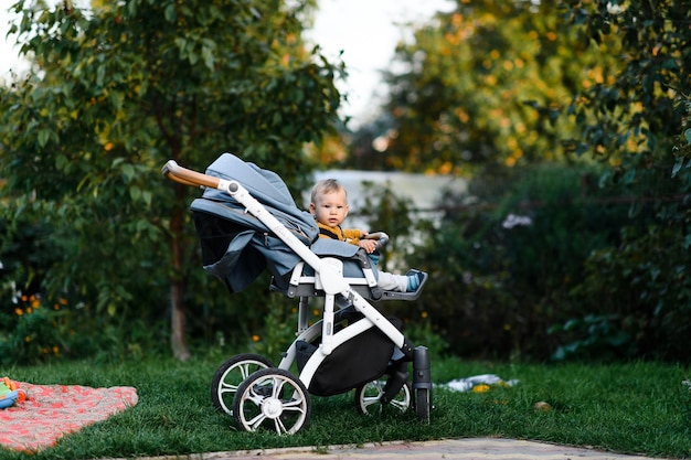 Baby boy in stroller in garden