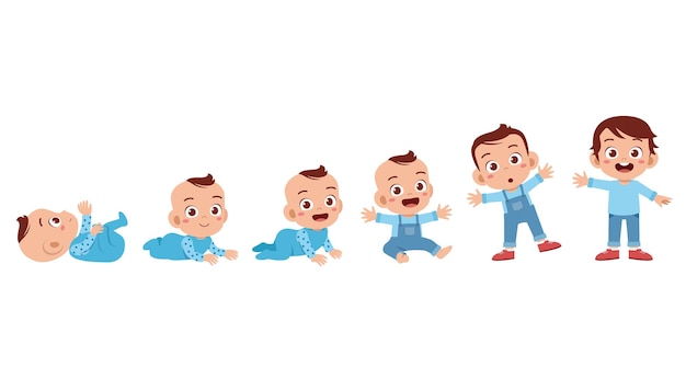 Photo baby boy to toddler life cycle vector