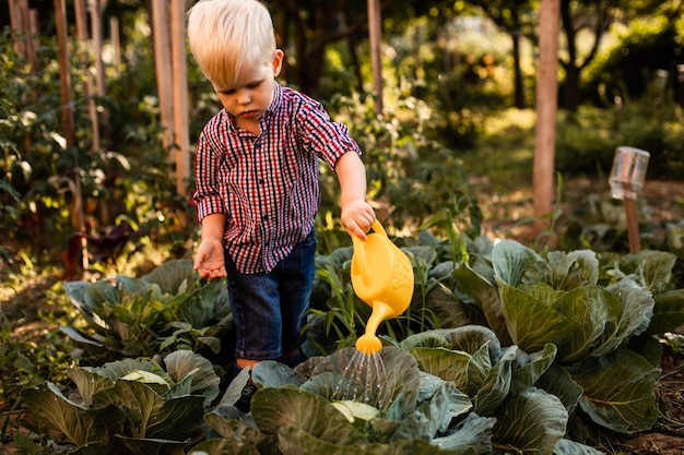 Il bambino innaffia il cavolo cappuccio usa un annaffiatoio