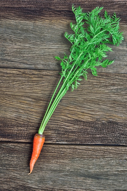 Photo baby carrot