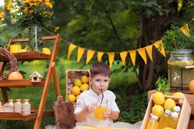 Baby citroenen eten en limonade drinken buiten op picknick