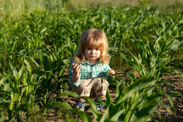 Baby on corn farm field outdoors Child having fun with farming and gardening of vegetable harvest Baby child enjoy the summer on the nature in the park outdoor Little farmer