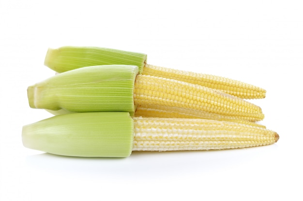 Baby corn isolated on white