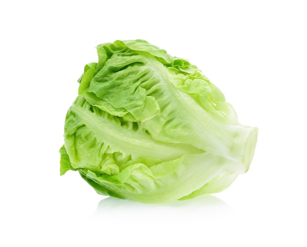 Baby cos lettuce isolated