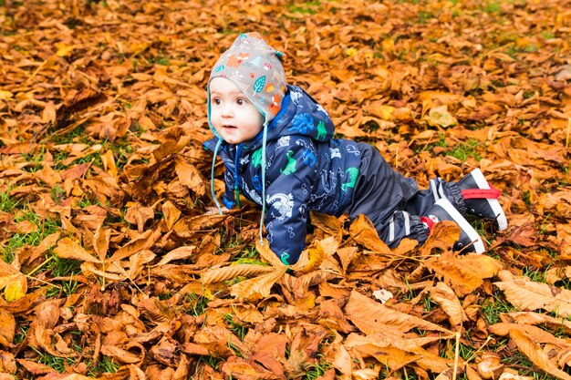 Baby crawling through the autumn leaves in the forest