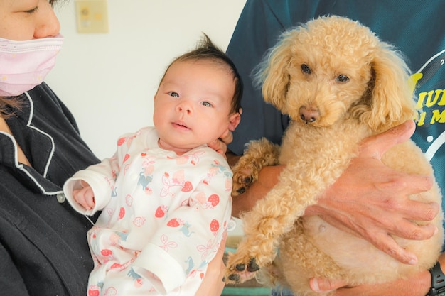 Baby and dog