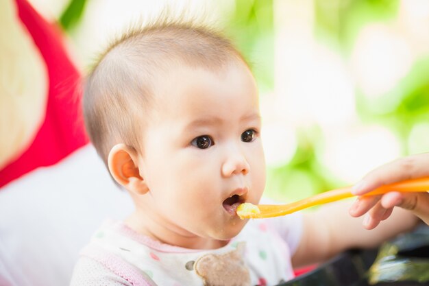 赤ちゃんは母親の食べ物から食べ物