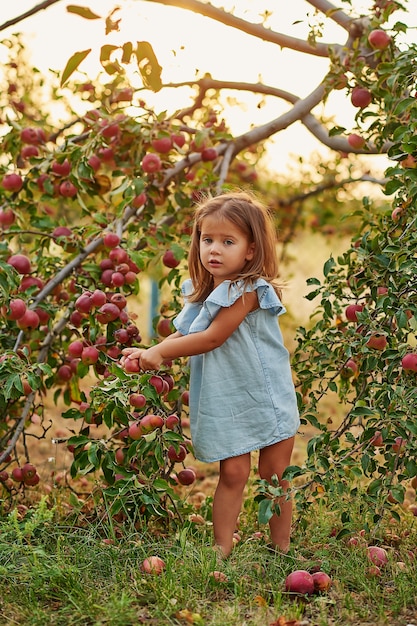  Baby eating fruits at fall harvest.