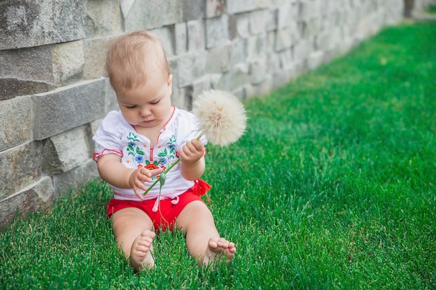 baby in embroidered shirt sitting on a lawn with big dandelion