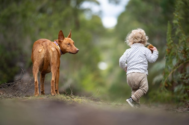 Baby en hond in het wilde bos samen wandelen