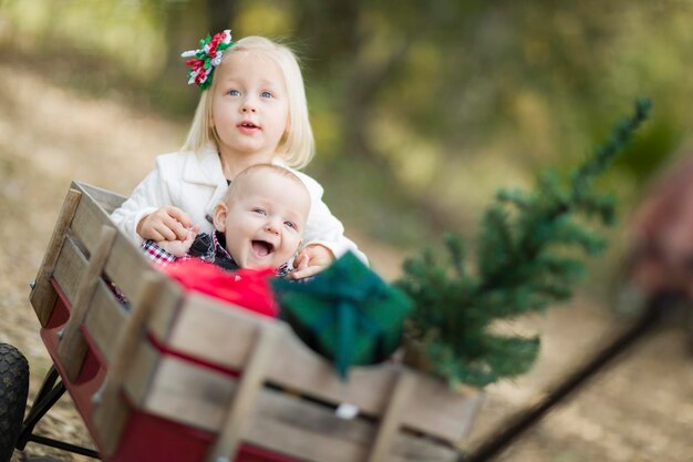 Baby en zusje getrokken in wagen met kerstboom