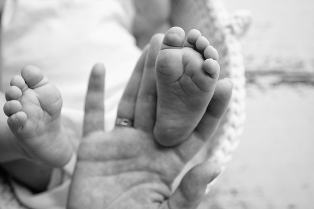 Baby feet in the hands of mother father older brother or sister\
family feet of a tiny newborn close up little children39s feet\
surrounded by the palms of the family black and white