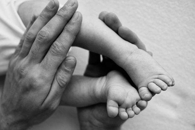 Baby feet in the hands of mother father older brother or sister\
family feet of a tiny newborn close up little children39s feet\
surrounded by the palms of the family black and white