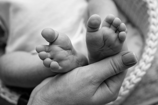 Baby feet in the hands of mother father older brother or sister family Feet of a tiny newborn close up Little children39s feet surrounded by the palms of the family Black and white