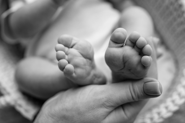 母親、父親、兄または妹の家族の手の中の赤ちゃんの足 小さな新生児の足をクローズアップ 家族の手のひらに囲まれた小さな子供たち39人の足 白黒