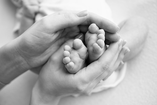 Baby feet in the hands of mother father older brother or sister\
family feet of a tiny newborn close up little children39s feet\
surrounded by the palms of the family black and white