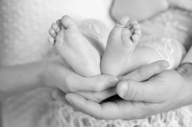 Baby feet in parents hands Tiny Newborn Baby's feet on parents shaped hands closeup