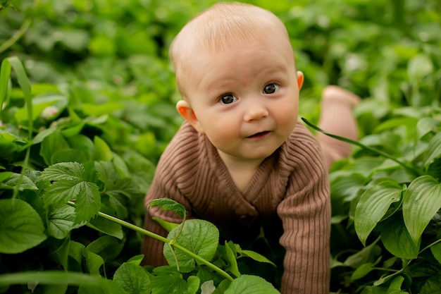 A baby in a field of green leaves