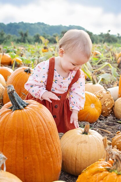 Photo a baby in a field of pumpkins with a baby in the front