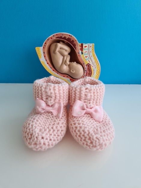 Baby foetus en roze baby pantoffels close-up