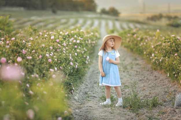 여자 아기, 5-6 세 파란 드레스를 입고 밀 짚 모자 야생 꽃 장미의 필드에 서
