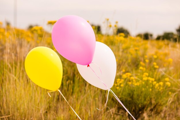 Bambina festeggia il suo primo compleanno con torta gourmet e palloncini.