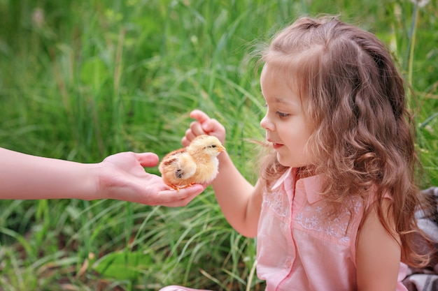 Baby girl and chicken on the grass spring