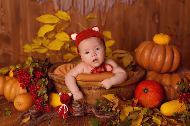 Baby girl fox in autumn decor with pumpkins, berries and leaves for thanksgiving or halloween