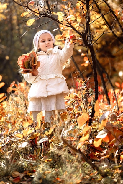 Baby girl pick up a bouquet of yellow leaves on autumn day