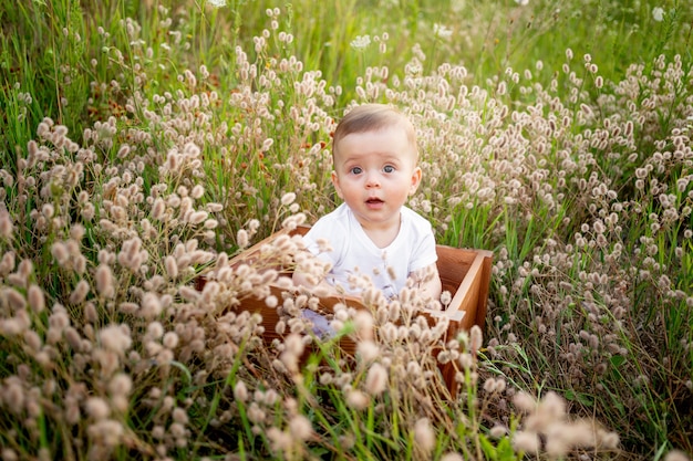 Baby girl sitting among the field grass in a white dress, healthy walk in the fresh air