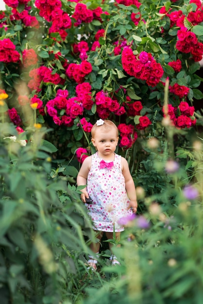 Baby girl in summer dress on the background of red roses.