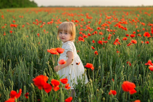 Baby girl in a white dress in a poppy field at sunset