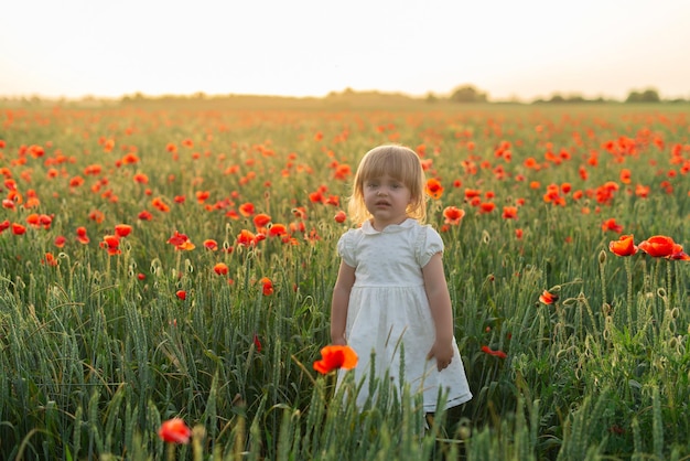 Baby girl in a white dress in a poppy field at sunset