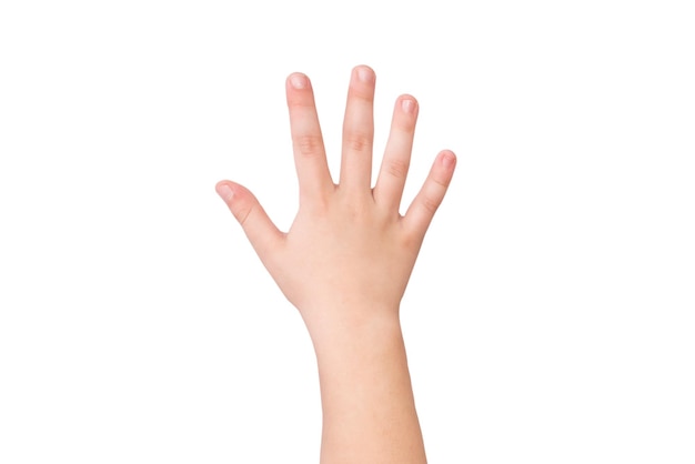 baby hand geïsoleerd op witte achtergrond Handgebaar