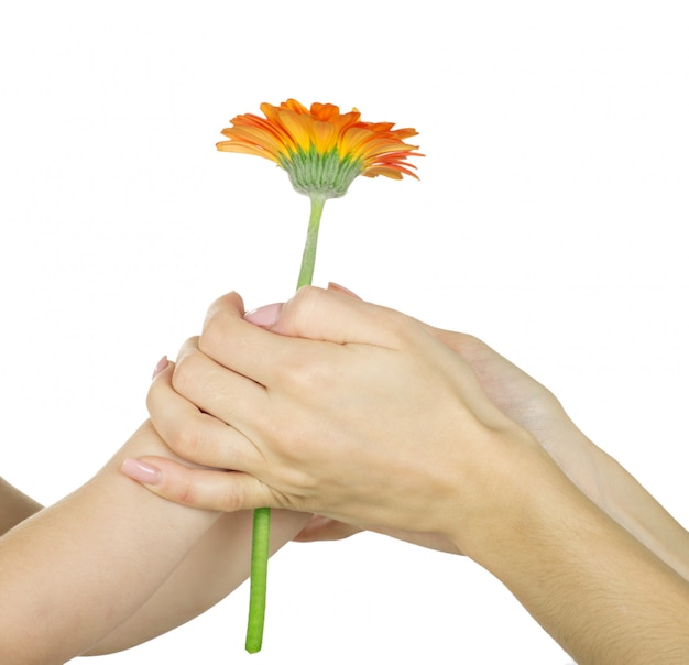 Foto mano del bambino che tiene un fiore