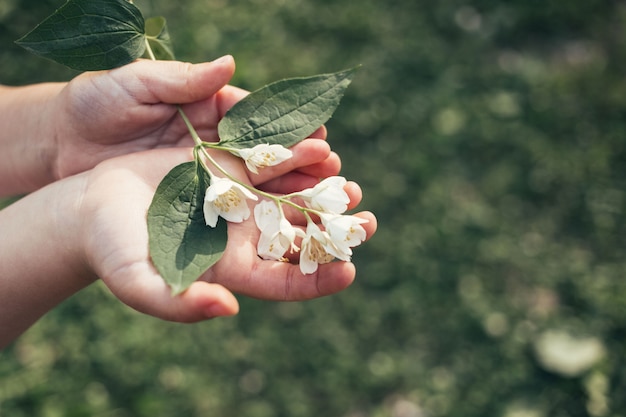 Детские руки держат белый цветок