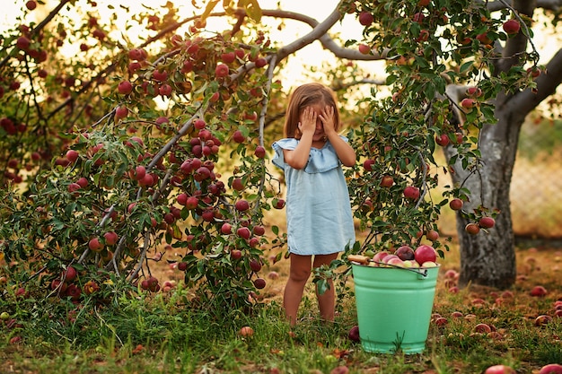 Baby in Apple Garden. Kind appels plukken op boerderij in de herfst.