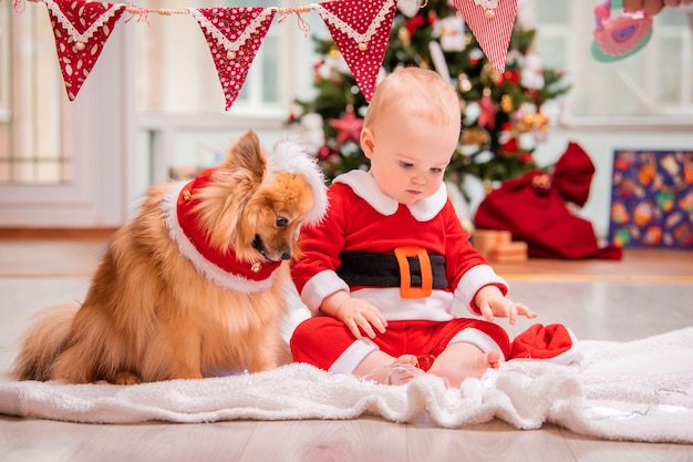 Baby in kerstmankostuum en pluizige pomeranian spitz spelen thuis samen tegen de achtergrond van een versierde kerstboom.