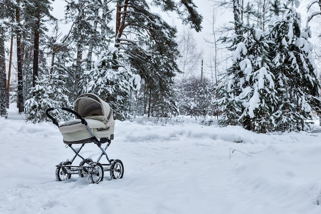 冬の森の寒さの雪の中で赤ちゃんの乳母車ベビーカーは新鮮な空気の乳母車の中で眠る