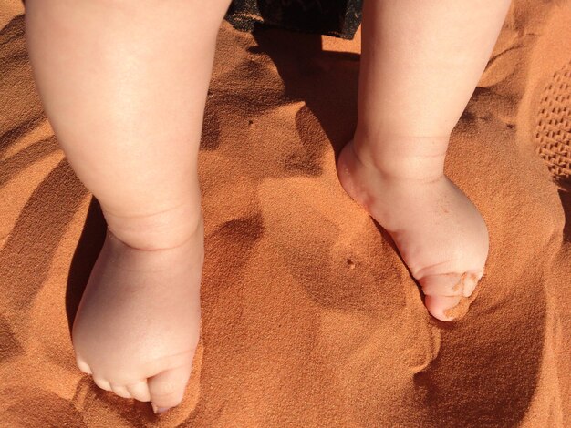 写真 朝 ⁇ 内側から砂の上に立っている赤ちゃんの足 ⁇