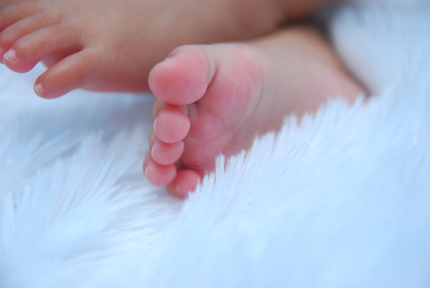 baby legs on a white background