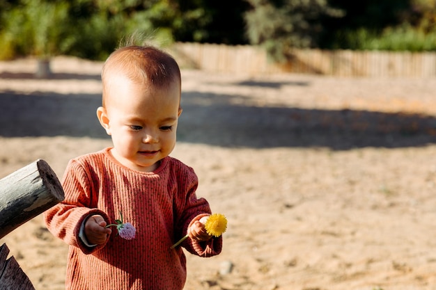 Baby looking at yellow dandelion flower in the beach