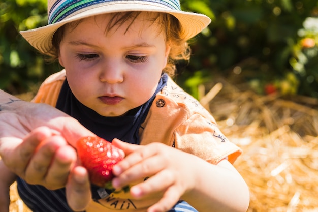 Baby met strohoed het plukken aardbeien op een aardbeiengebied