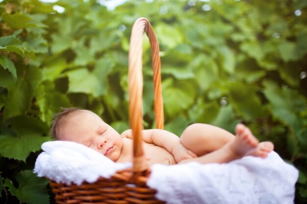 Baby peacefully sleeping in summer wooden basket