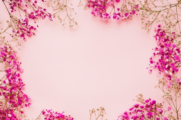 Photo baby's-breath flowers with space for text in the center