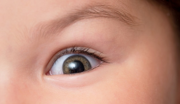 The baby's brown eyes are close-up. Child looks at the camera