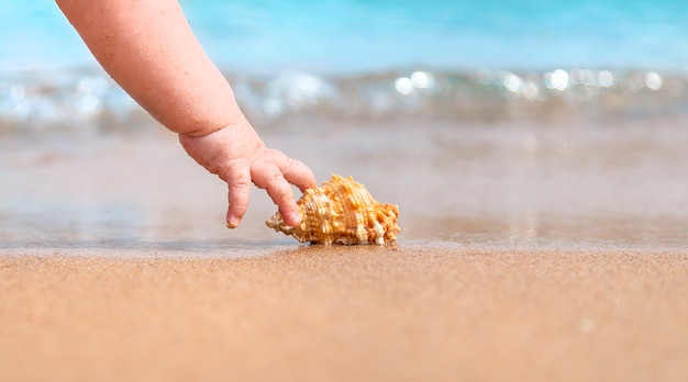 Baby's hand die een schelp neemt aan de kust